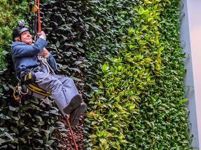 David Attenborough abseiling a 50ft tall living wall.