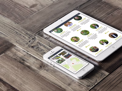 ANS Global: Company Website Case Study page on an Apple iPhone and Team page on an iPad.