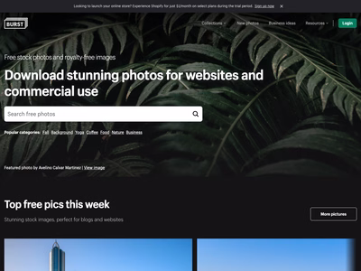 Burst shopify stock website screenshot.