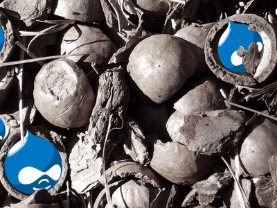 Drupal icons wrapped inside nutshells.