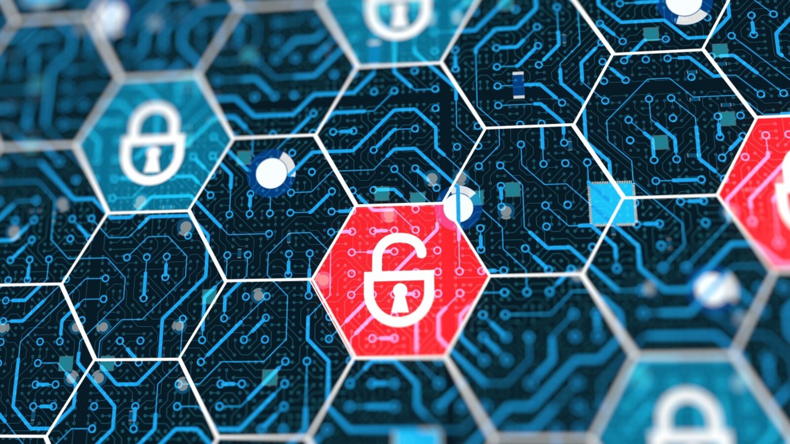 Why poor web security will damage your business | Pivale