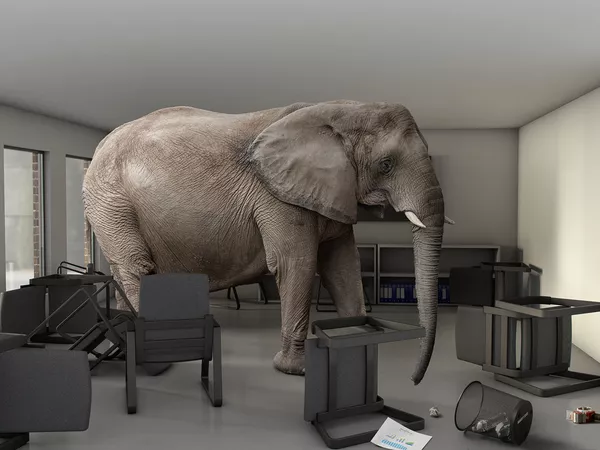 An elephant inside a business meeting room.