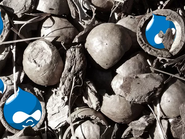 Drupal icons wrapped inside nutshells.