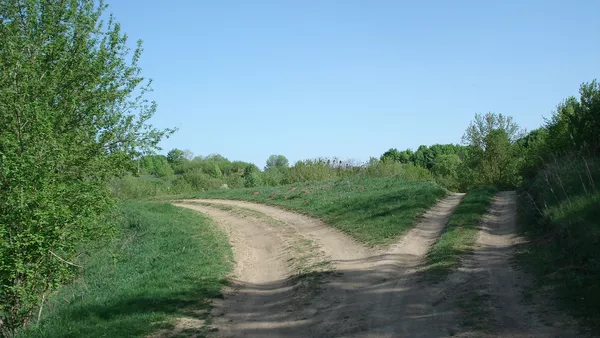 A forked path in a green setting, signifying an opportunity to change the path one is headed down.