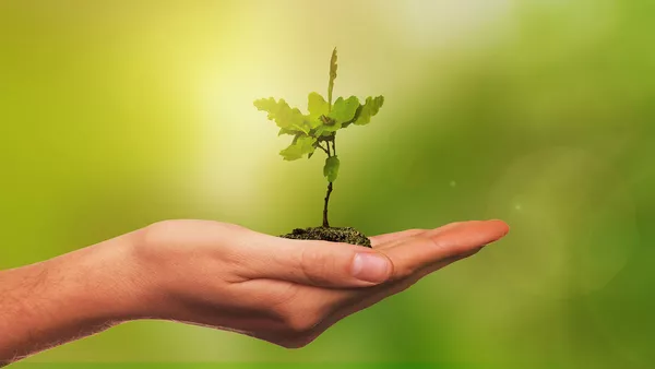 A seedling growing in a pile of soil in the palm of a person&apos;s hand.