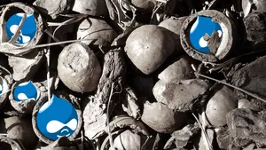 Drupal icons wrapped inside nutshells.