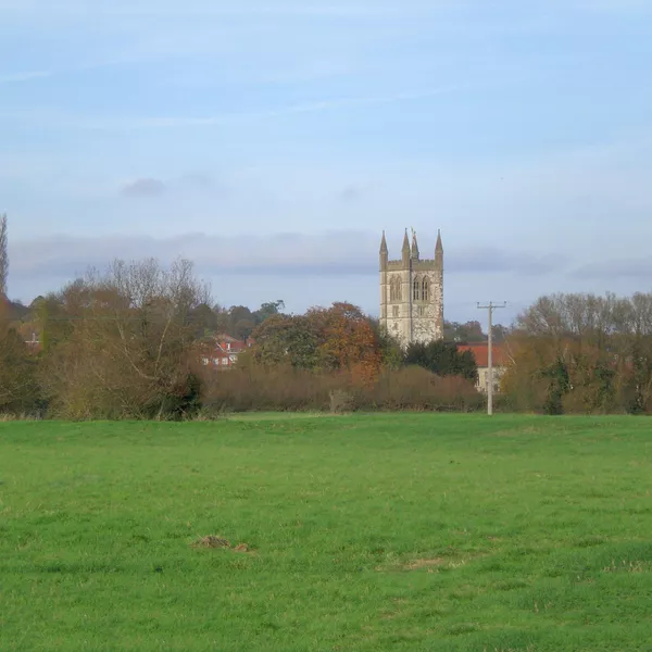 St Andrew's Church as seen from Bishop's Meadow in Farnham.
